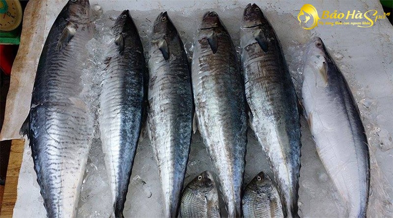 Bà bầu không nên ăn cá thu khi mang thai 3 tháng đầu thai kỳ