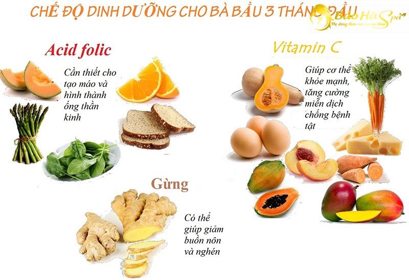 Bầu 3 tháng đầu nên ăn gì? Hãy bổ sung thật nhiều chất dinh dưỡng cho thai nhi