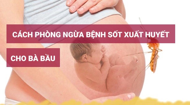 cach-phong-ngua-benh-sot-xuat-huyet-cho-ba-bau-7.jpg