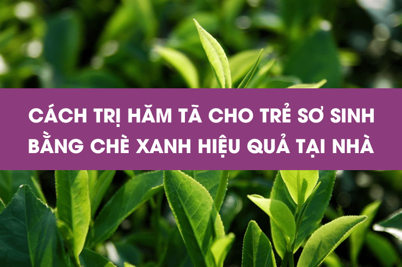 cach-tri-ham-ta-cho-tre-so-sinh-bang-che-xanh-5.png