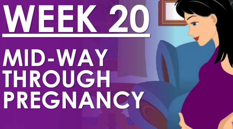 mang thai tuần thứ 20