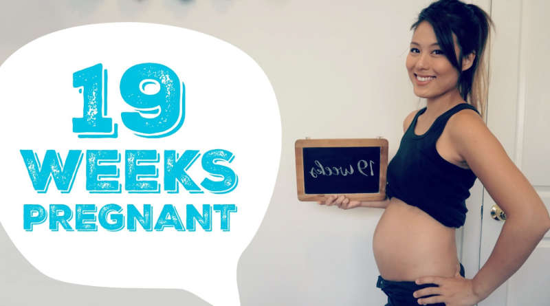 Mang thai tuần thứ 19 mẹ cần làm gì để con phát triển toàn diện?