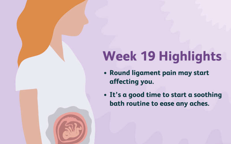 Mang thai tuần thứ 19 mẹ cần làm gì để con phát triển toàn diện?