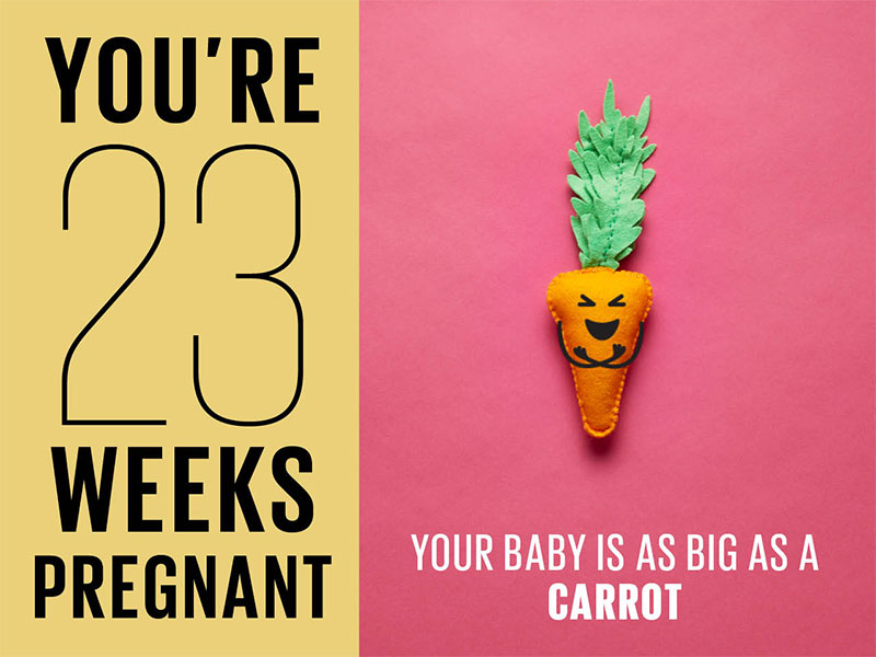 Mang thai tuần thứ 23 cơ thể thai phụ có những điểm gì khác biệt?