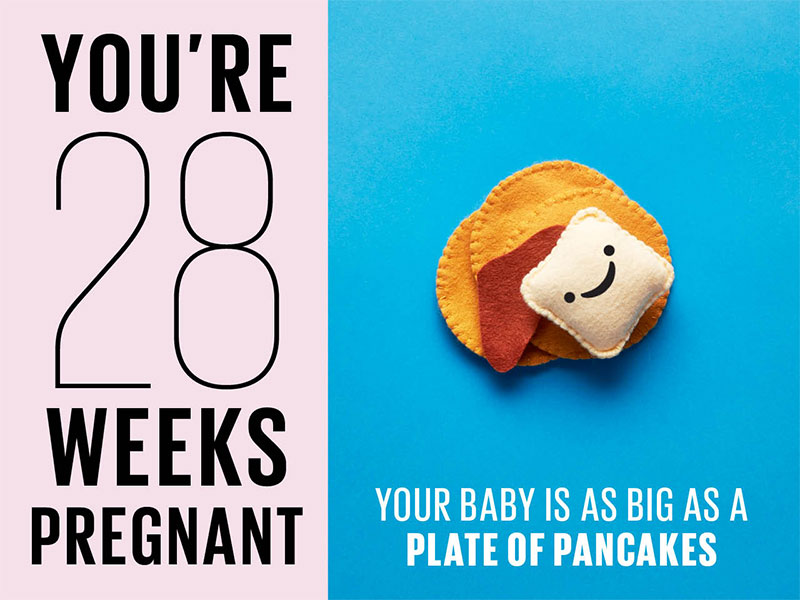 Mang thai tuần thứ 28 thai nhi phát triển như thế nào?