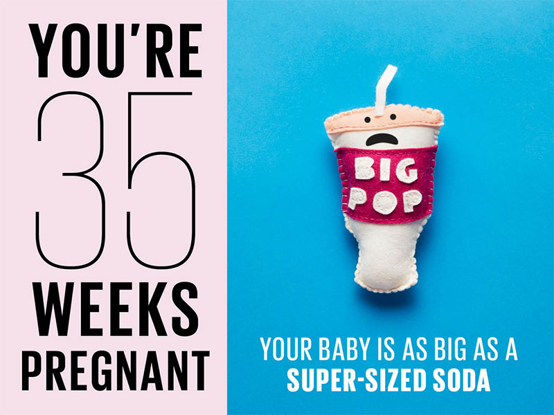 Mang thai tuần thứ 35